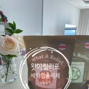 제세 | [세탁세제] 캡슐세제 세탁세제 추천 성분좋은 내돈내산 왓아릴리프 캡슐제세 내돈내산 사용후기