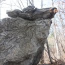 도대리보건진료소 이미지