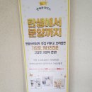 캣파라다이스 이미지