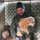 개랑, 마리 이미지