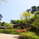 안면도자연휴양림 이미지