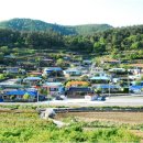 완도읍-5 이미지