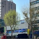 봄햇살약국 이미지