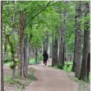 곡성-266 이미지