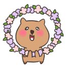 채선당묵동점 이미지