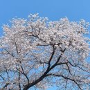 호텔 트리플8 이미지