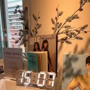 디엔엘고 이미지