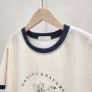 매그놀리아 이미지