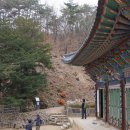 봉림흑염소 이미지