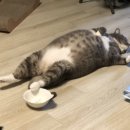 (주)테라웍스 네이버블로그