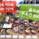 신일토기 이미지