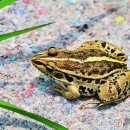 인제군청 이미지