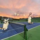 흥안대로27번길 | 안양 군포 테니스클럽 제이제이마야 테니스 원데이클래스 후기