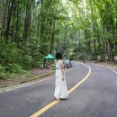 종로-신교-종로-신-271 | 인천공항 콜밴 가격 인천공항 콜택시 예약