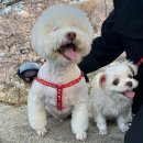 명광행정사무소 이미지