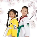 대방 품태권도장 이미지