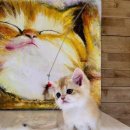 나는 고양이에 빠지다 이미지