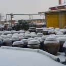 함평해수찜 이미지