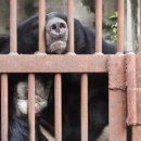 주영농장(4) 이미지