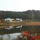 프랜치캣펜션 이미지