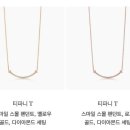 스테디앤코