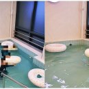 무무그라운드