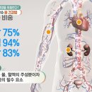 백년마실 이미지