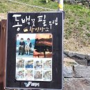 만월청과 | 보령 가볼만한 곳 충청수영성 상세정보