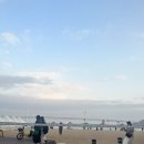 부산 광안리 1박2일 후기(조새호,볶는집,평상공원)