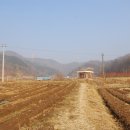 김정우 농장 Daum카페