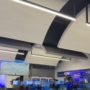 미나리 수산 | [강남 주나수산] 강남역 회 맛집, 대방어와 미나리 낙지전 내돈내산 후기
