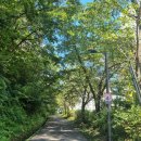 도심건강길 7길 이미지