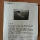 선재도민박 이미지