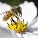 한솔한의원 이미지