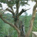 양정1동-28 이미지