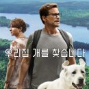 실화영화 &#39;우리집개를 찾습니다&#39; 감상후기