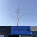 우리칠 콘서트 보러 가는 부훙회 멤바들