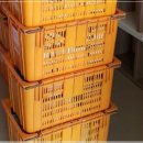 군산익스프레스 이미지