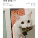 물물교환 Daum카페