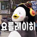 배영만 당진아구 이미지