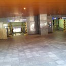 강남-236 이미지