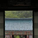 [사찰건축캠프 1기] 합격 자소서 & 솔직 후기 (지금 2기 모집 중🔥)