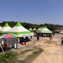 4,5월 국내 여행지 추천 전북 고창 청보리밭 축제 후기 | 하루 코스로 딱 좋은 봄나들이