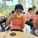 성인 발달·정신 장애인 자립역량 강화를 위한 직업체험프로그램, 「꽃을 잡(job)고, 마음을 싹띄우다.」 이미지