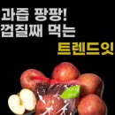 트렌드잇 카페24 이미지