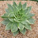 수담농장 이미지