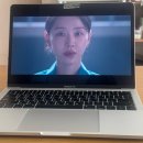 네네치킨수지 | 3월 b. 꽃이 피는