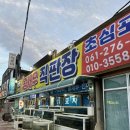 [목포 맛집] 목포 산오징어 가성비맛집 “초심회포차” 후기