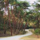 최봉환 농장 네이버블로그