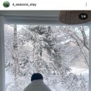 스테이더뷰 이미지